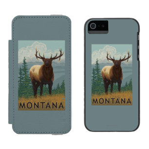 MontanaElk Scene