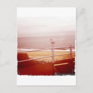 Montauk Seagull Love 3.0 Briefkaart