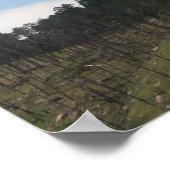 Monte Devils Tower, affiche du Wyoming (Coin)