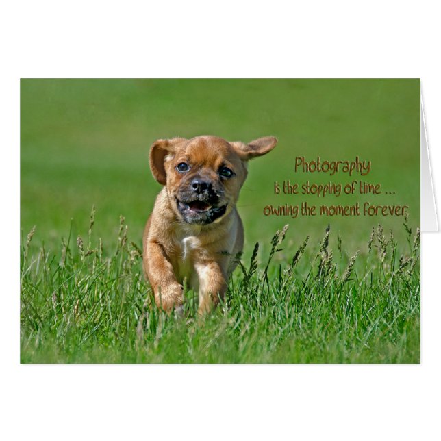 Monter (Devant Horizontal)