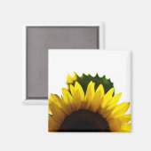 Monter et aimant (Recto/Verso)