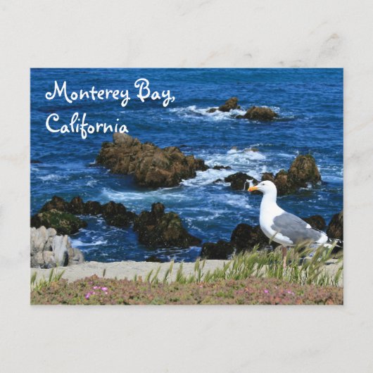 Monterey Bay, Briefkaart (Voorkant)