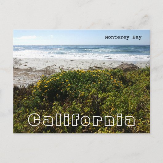 Monterey Bay Briefkaart (Voorkant)