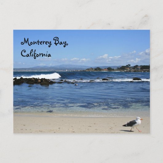 Monterey Bay, Briefkaart (Voorkant)
