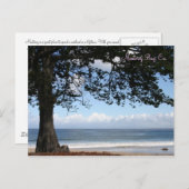 Monterey Bay, Ca. Briefkaart (Voorkant / Achterkant)