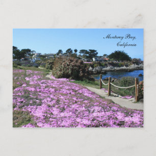 Monterey Bay, carte postale Spring