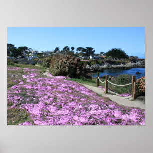 Monterey Bay Coast Line, Spring Path Foto Poster