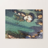 Monterey Bay Lagoon Legpuzzel (Horizontaal)