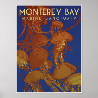 Monterey Bay Marine Sanctuary; kwallen Poster