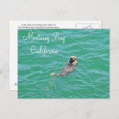 Monterey Bay Zee Otter Briefkaart (Voorkant / Achterkant)