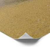 Monterey Beach Poster (Hoek)