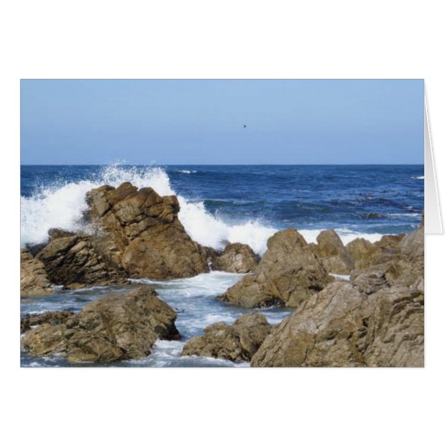Monterey, CA (Voorkant Horizontaal)