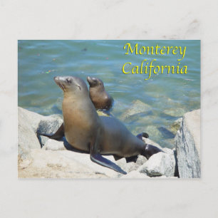 Monterey California Briefkaart