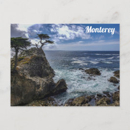 Monterey California Pebble Beach Cypress Tree Briefkaart