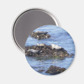 Monterey, Californië Magneet (Voorkant / Achterkant)