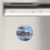 Monterey, Californië Magneet (Insitu (Vaatwasser))