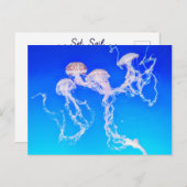 Monterey Jellyfish Briefkaart (Voorkant / Achterkant)
