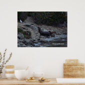 Monterey Watering Hole Poster (Keuken)