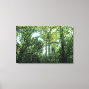 Monteverde Cloud Forest, Costa Rica. Canvas Afdruk