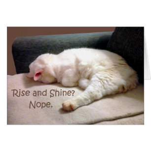 Montez et brillez ? Non.