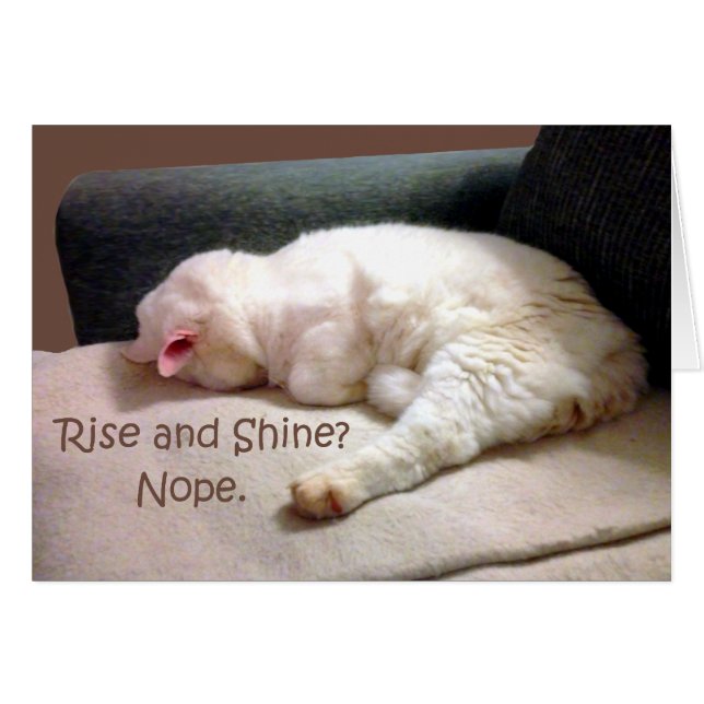 Montez et brillez ? Non. (Devant horizontal)