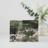 Montezuma Hot Springs Briefkaart (Staand voorkant)