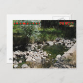 Montezuma Hot Springs Briefkaart (Voorkant / Achterkant)