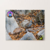 Montezuma Quail Jigsaw Puzzle Puzzle (Horizontal)
