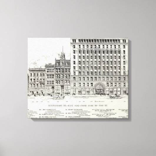 Montgomery East side Struik en Pine Canvas Afdruk (Voorkant)