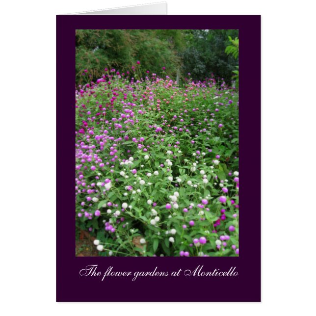 Monticello Flower Gardens (Voorkant)