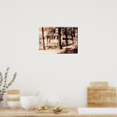 Monticello Indiana  Shafer Lake Poster (Keuken)