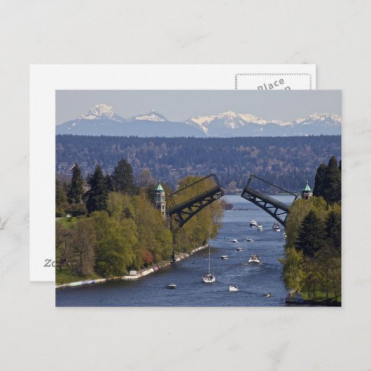 MontLake Bridge en Cascade Mountains Briefkaart (Voorkant / Achterkant)