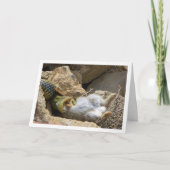 Montpellier Snake Feasting op Konijn Kaart (Voorkant)