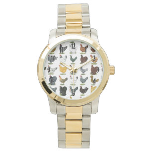 Montre 49 poules de poulet