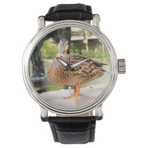 montre à canard