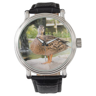 montre à canard