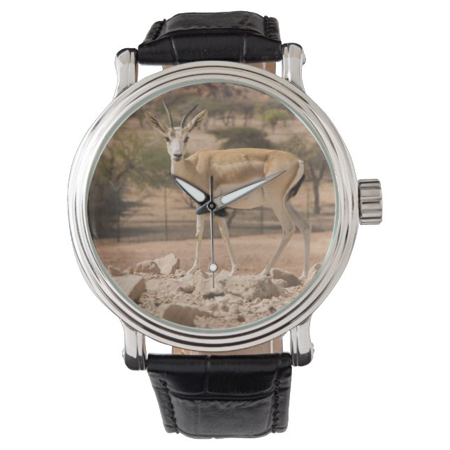 Montre Abu Dhabi (devant)