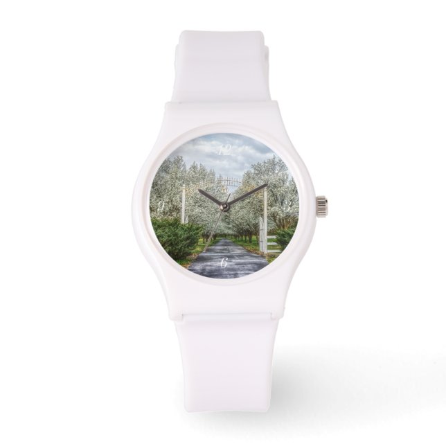 Montre Accueil du lecteur Spring (Recto)