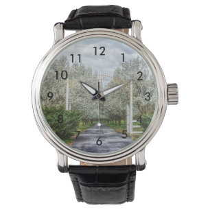 Montre Accueil du lecteur Spring
