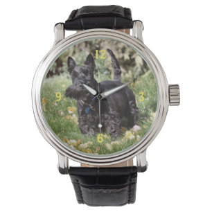 Montre Ach