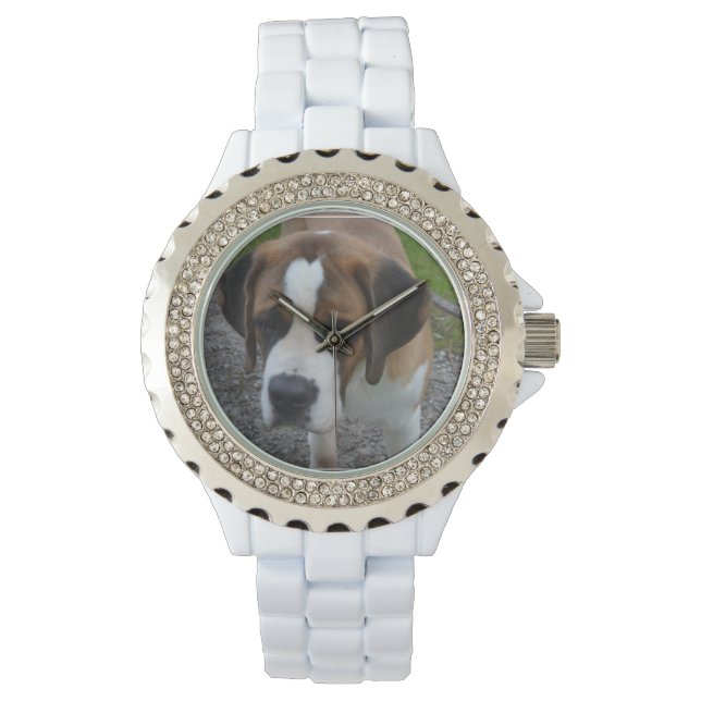 Montre Adorable St Bernard (devant)