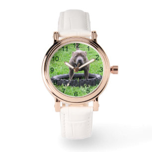 Montre Adulte Homme Staffordshire Terrier Prêt À Jouer,