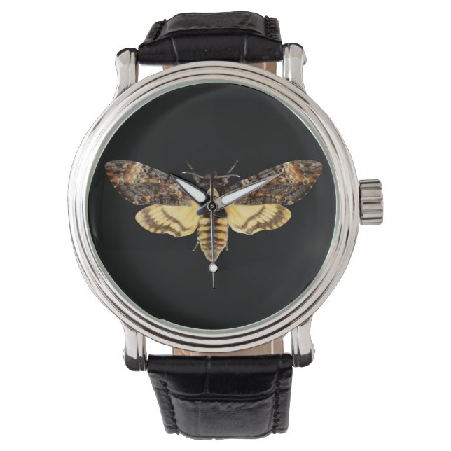 Montre african death head moth butterfly insect Acheronti (devant)