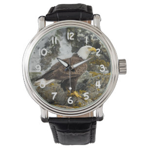 Montre Aigle à tête blanche