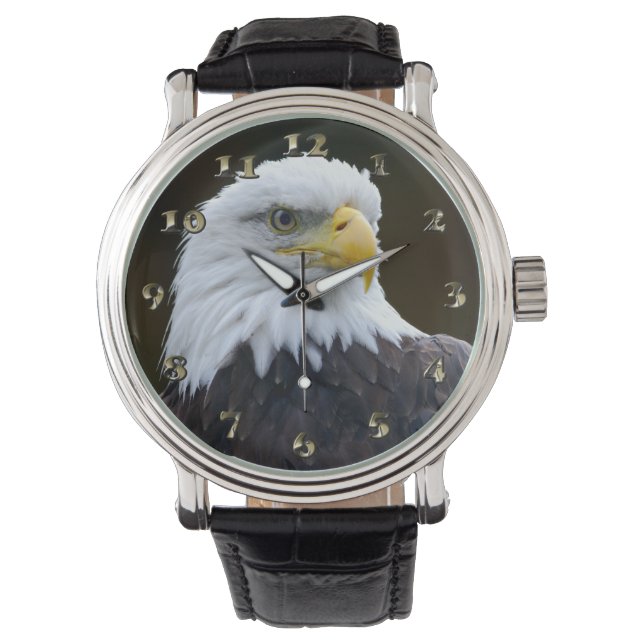 Montre Aigle à tête blanche américaine (devant)