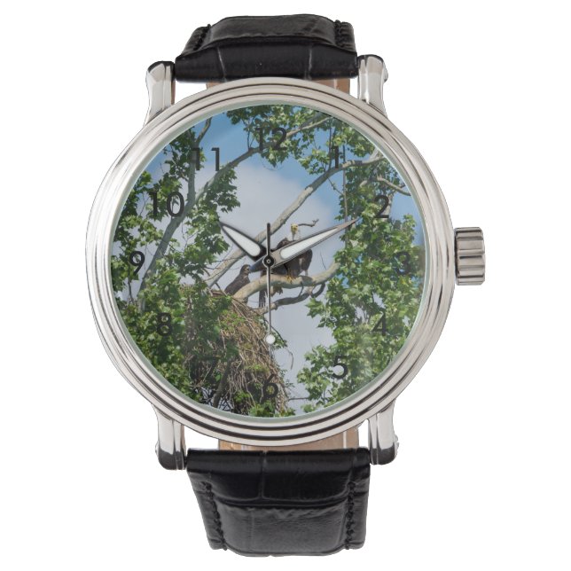 Montre Aigles chauds (devant)