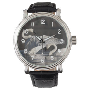 Montre Aimer les cygnes