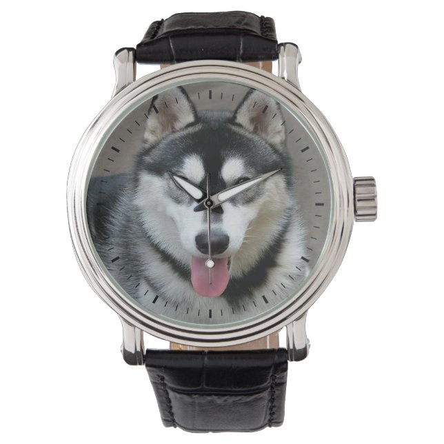 Montre Alaskan Malamute Chien photo (devant)