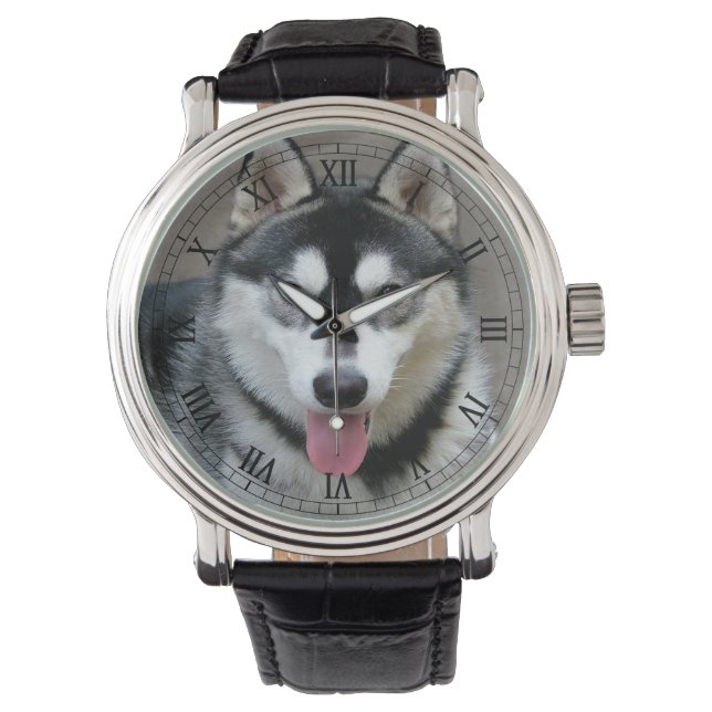 Montre Alaskan Malamute Chien photo (devant)