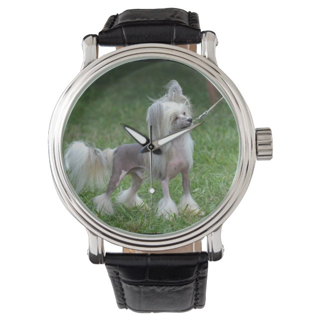 Montre Alerter Chien arrêté chinois (devant)